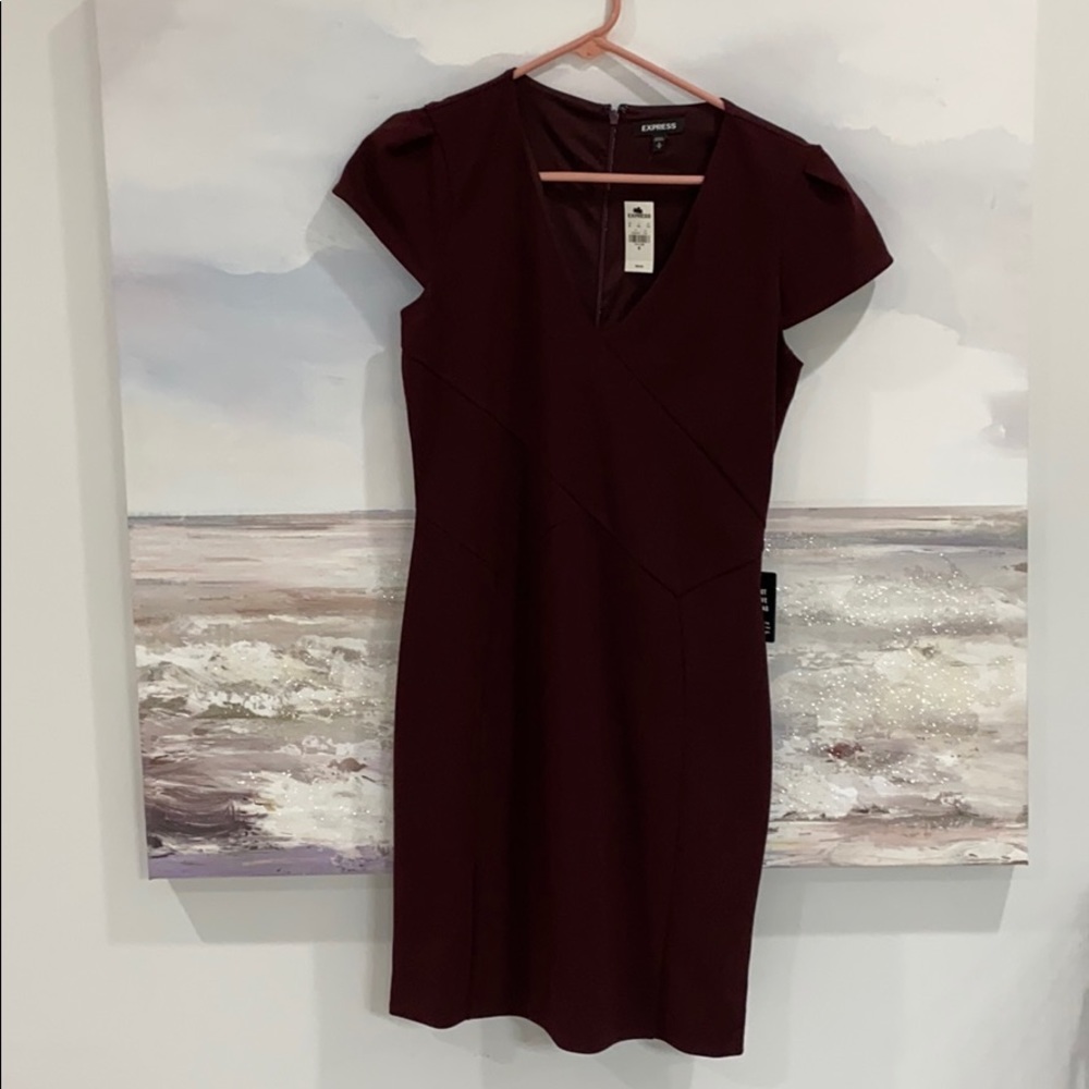 Express Cocktail dress